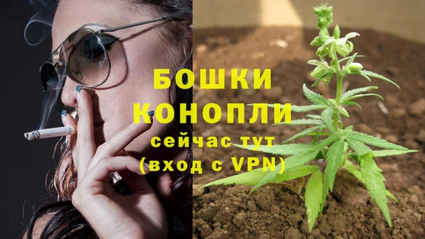 альфа пвп Горняк