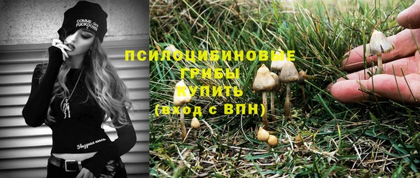 молекула духа Вязники