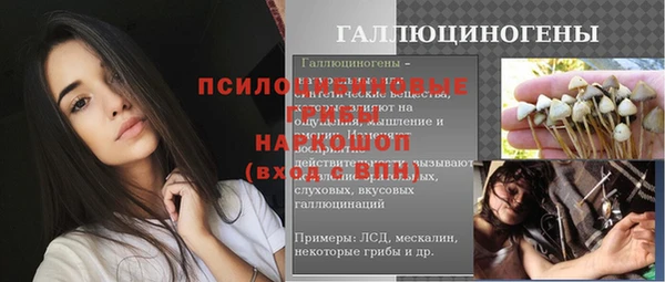 Альфа ПВП Горнозаводск