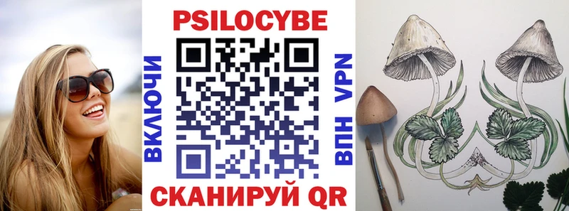 купить наркоту  Западная Двина  Галлюциногенные грибы ЛСД 